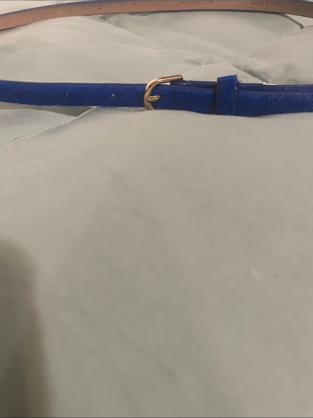 Ann Taylor Slim Blue Leather Belt